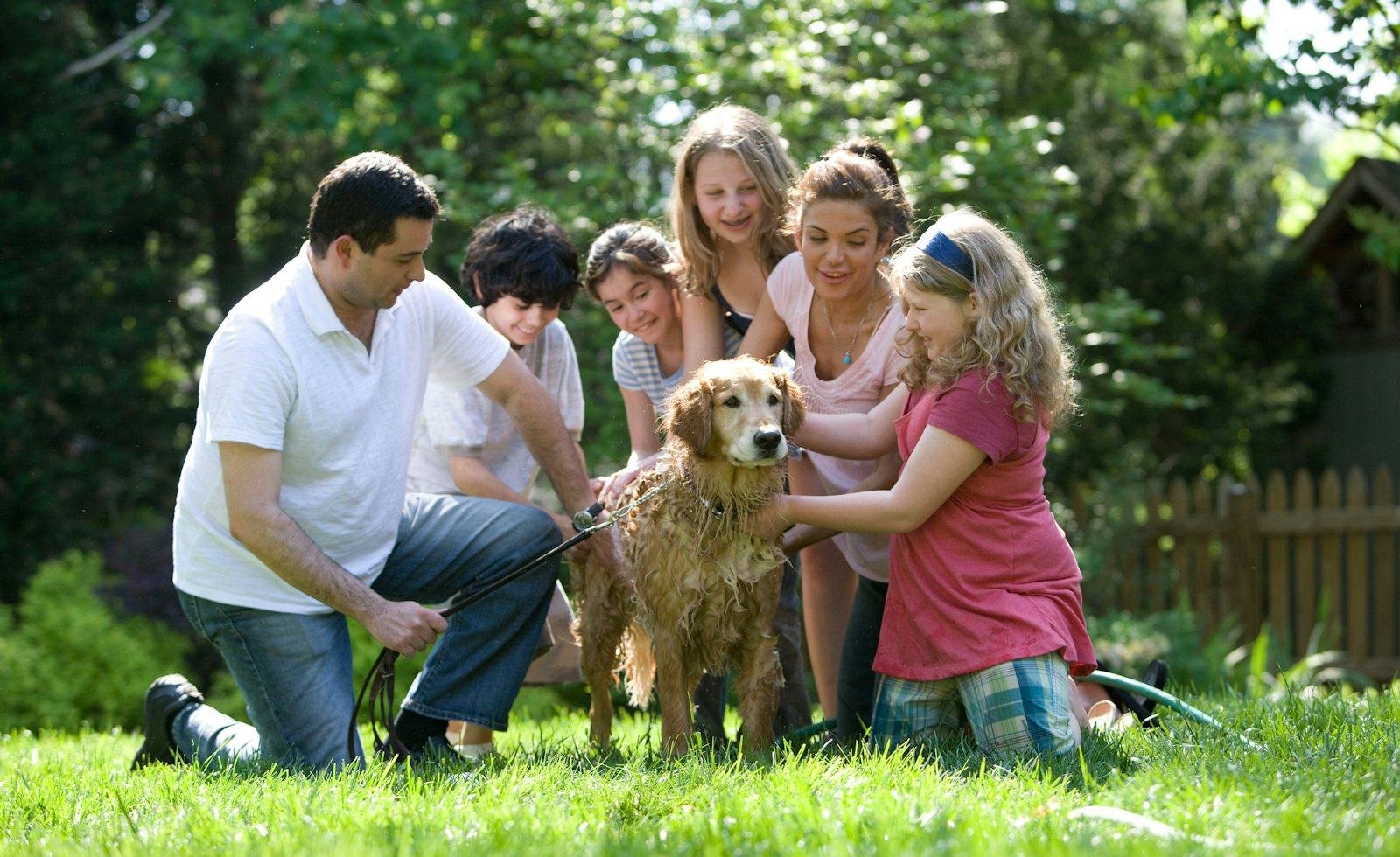 A family and their golden retriever relaxing together on a freshly cut lawn