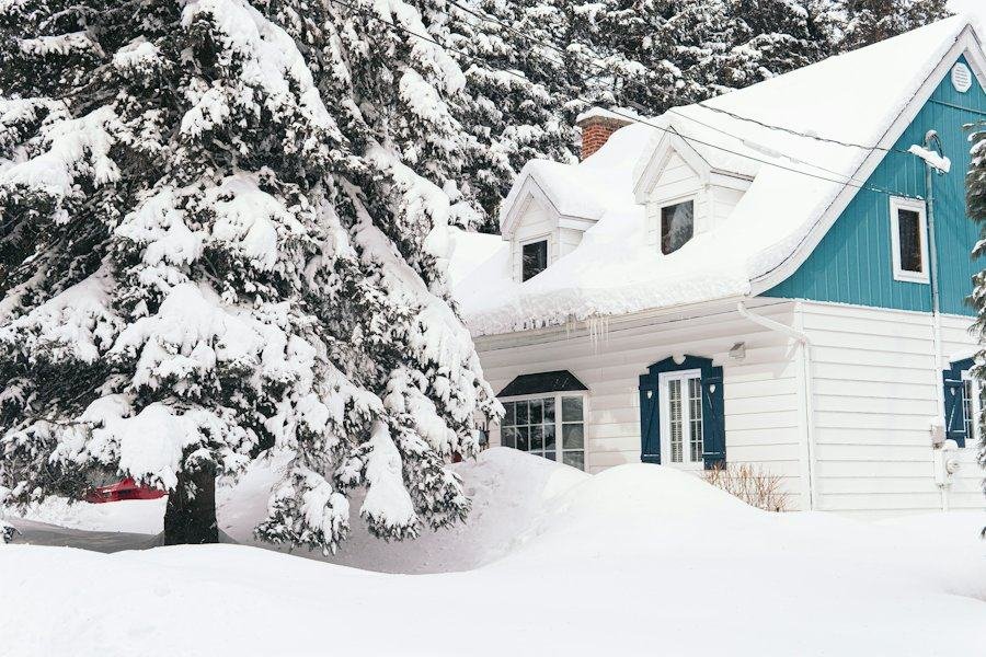 A blue and white house and evergreens covered in fresh snow